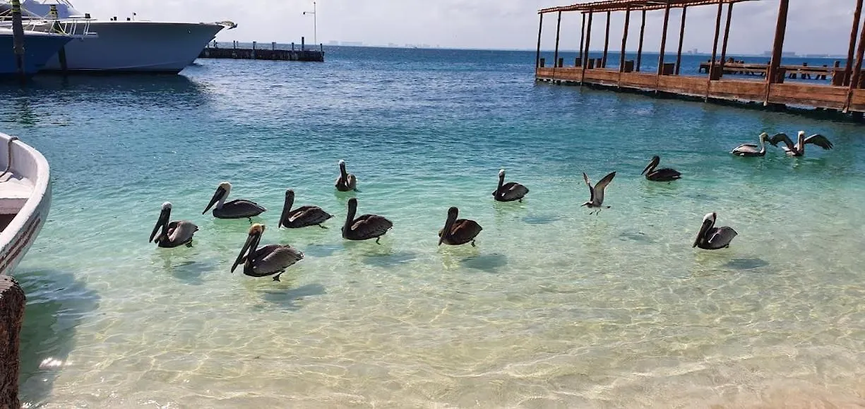 Walk Barefoot To Beach! Two Bathrooms! Entire Private Sailboat Isla Mujeres